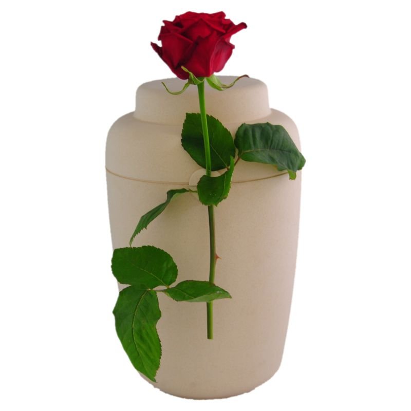 ECO-BIO urne white-rose Danish Biofiber